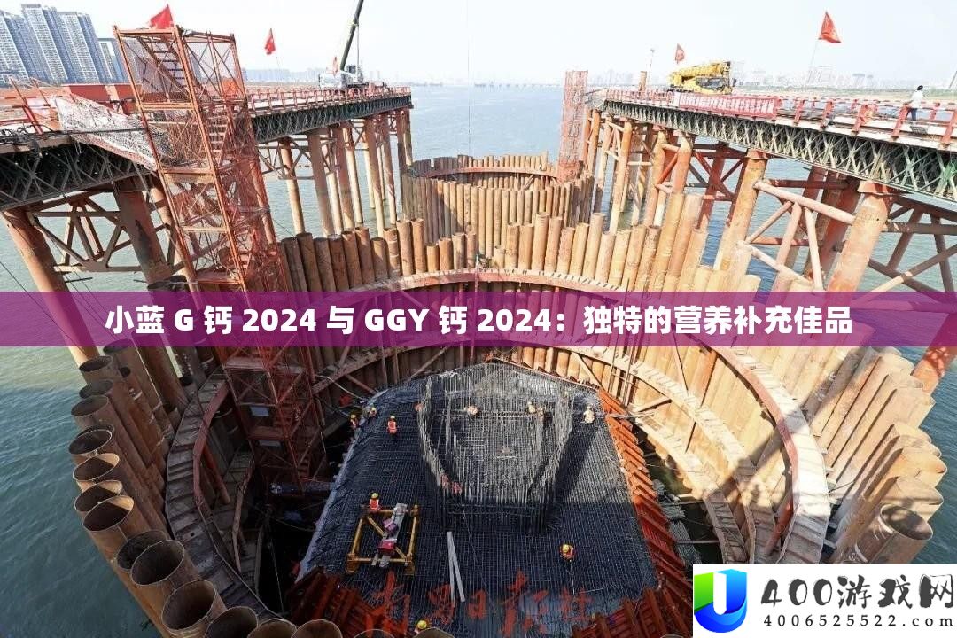 小蓝 G 钙 2024 与 GGY 钙 2024：怪异的养分弥补佳品