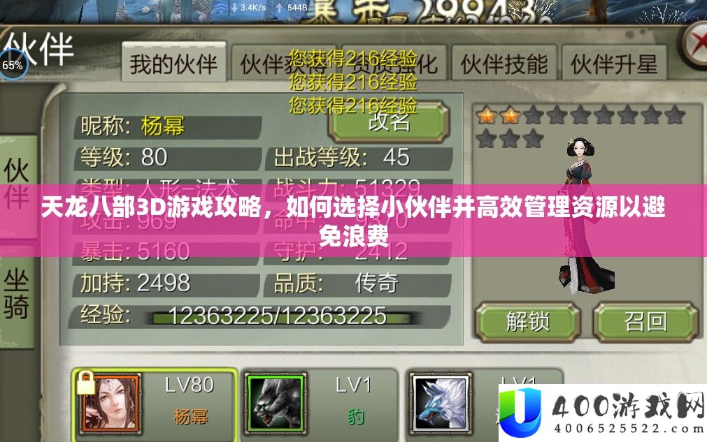 天龙八部3D游戏攻略，如何选择小伙伴并高效管理资源以避免浪费
