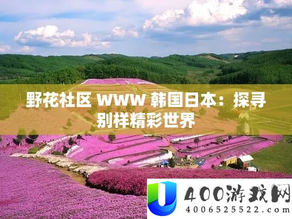 野花社区 WWW 韩国日本：探访别样精彩世界