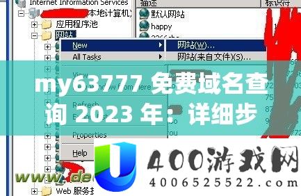my63777 收费域名查询 2023 年：具体步调与适用技能技巧