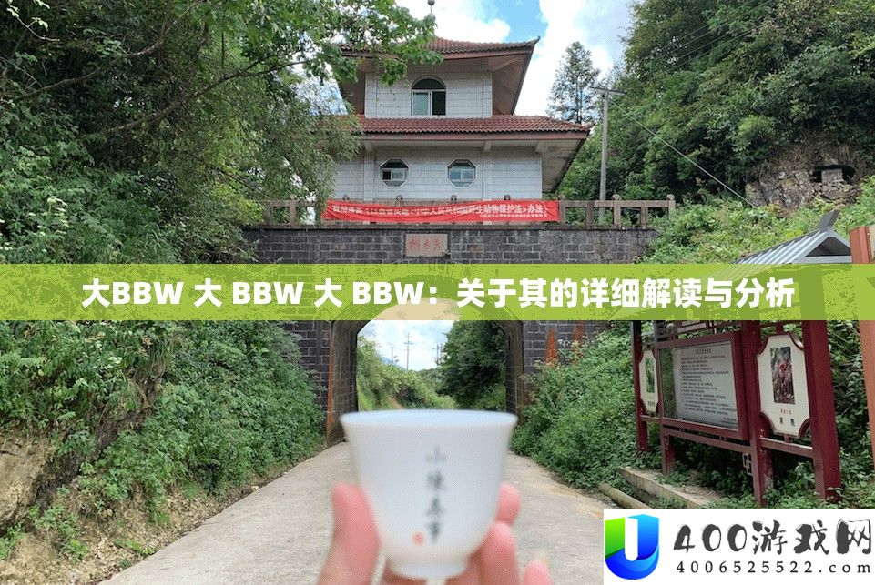 大BBW 大 BBW 大 BBW：关于其的具体解读与剖析