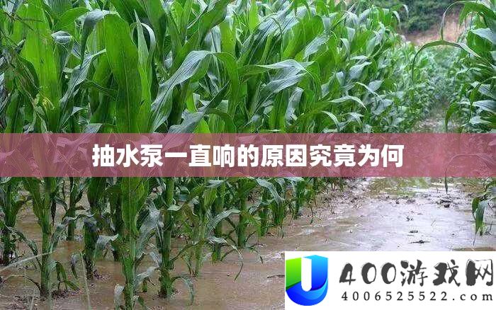 抽水泵一向响的原因事实为何