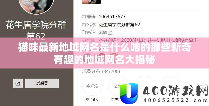 猫咪最新地域网名是什么啥的那些新奇有趣的地域网名大揭秘