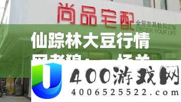 仙踪林大豆行情网老狼：一场关于大豆的财经之旅