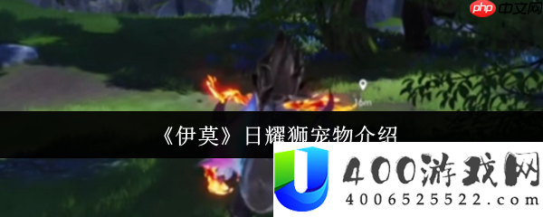 伊莫日耀狮宠物全分析：新手拓荒的黄金利爪