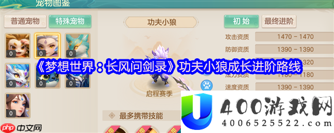 梦想世界功夫小狼最终培育攻略：首充神宠进阶全解