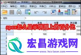 spss怎样在饼图上显示百分比-spss怎么让饼图显示出百分比