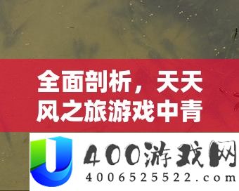 周全分析，每天风之旅游戏中青蛙王子的详细解锁前提与要求