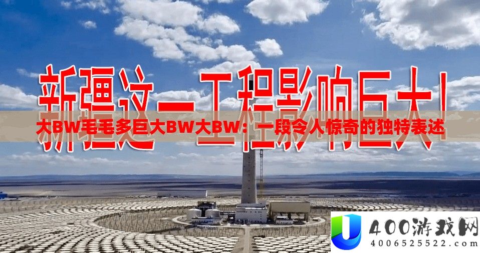 大BW毛毛多巨大BW大BW：一段令人惊奇的独特表述