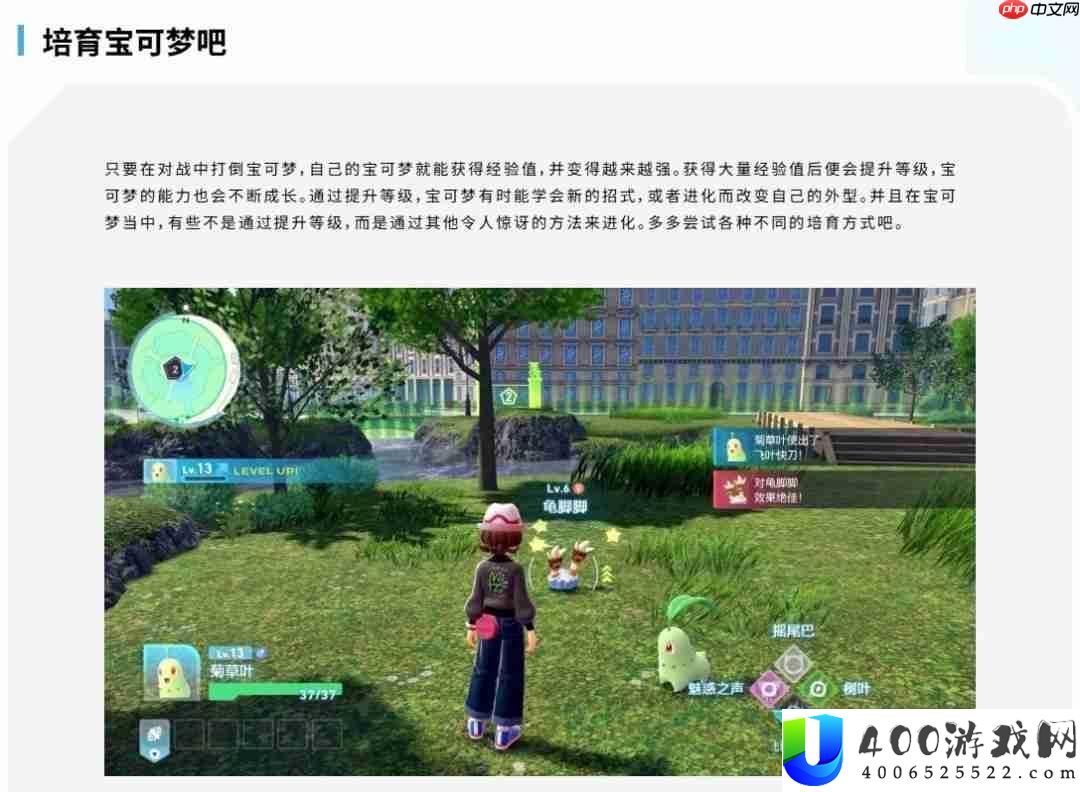 宝可梦传说Z