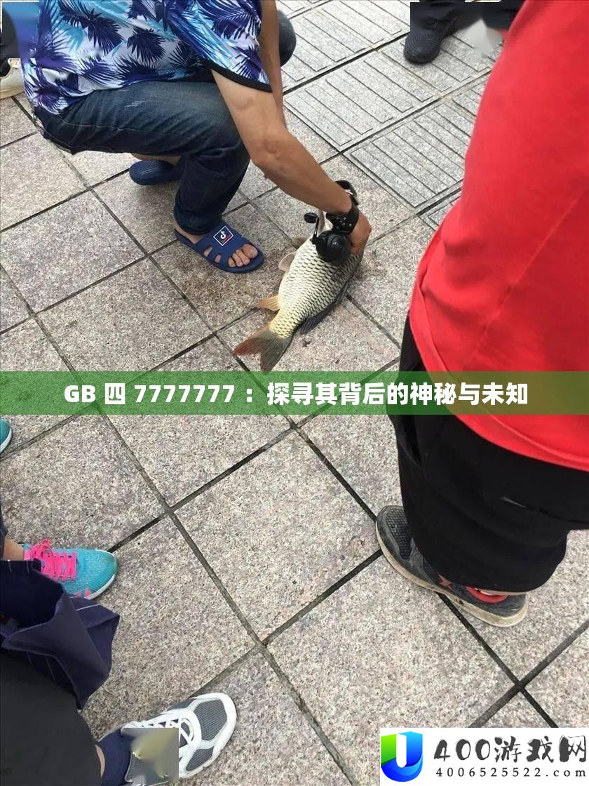 GB 四 7777777 ：探寻其背后的神秘与未知