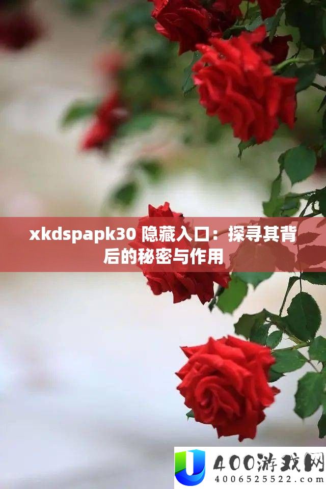 xkdspapk30 隐藏入口：探寻其背后的秘密与作用