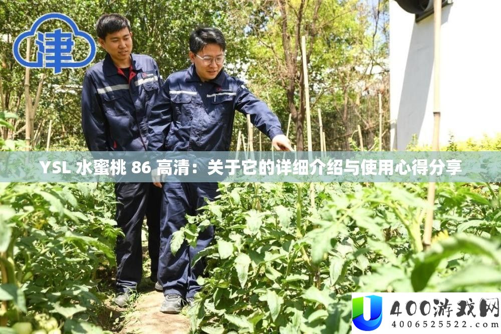 YSL 水蜜桃 86 高清：关于它的具体分享与使专心得技巧