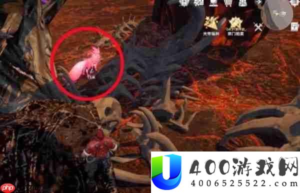 斗罗大陆猎魂世界妖狐玩法介绍