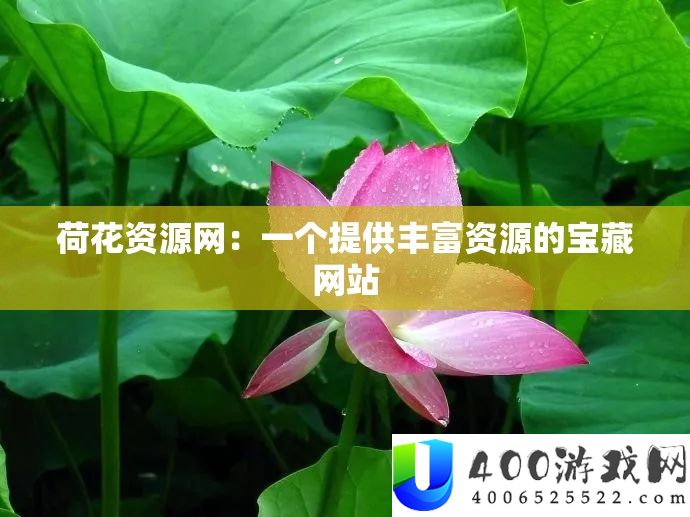 荷花资源网：一个提供丰富资源的宝藏网站