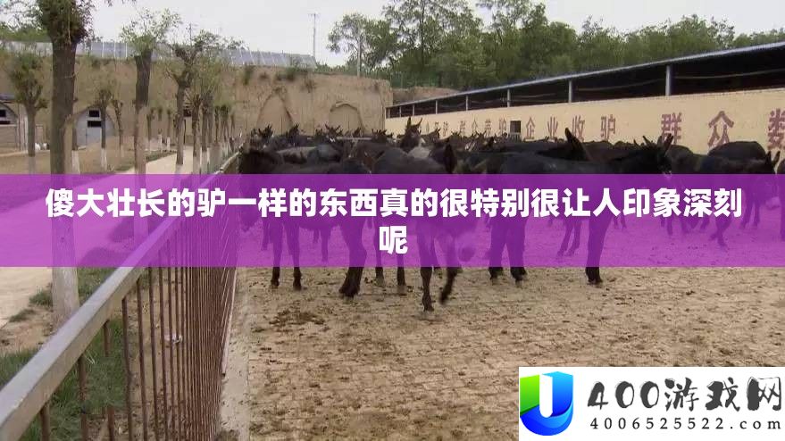 傻大壮长的驴一样的东西真的很希奇很让人印象深入呢