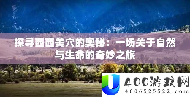 探寻西西美穴的奥秘：一场关于自然与生命的奇妙之旅