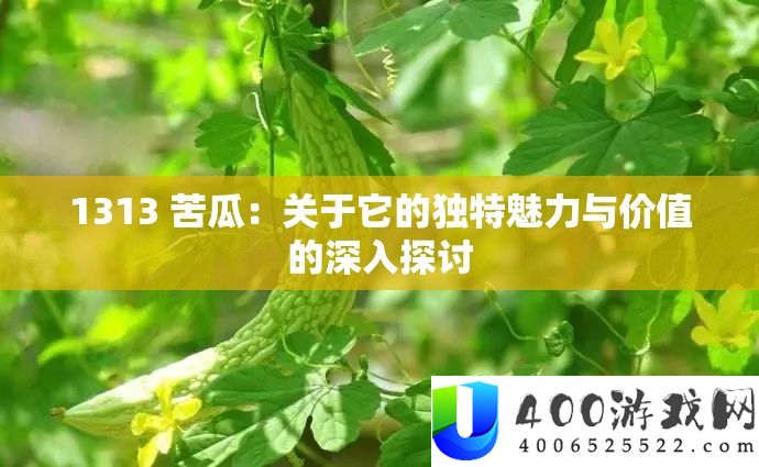 1313 苦瓜：关于它的怪异魅力与价值的深化切磋