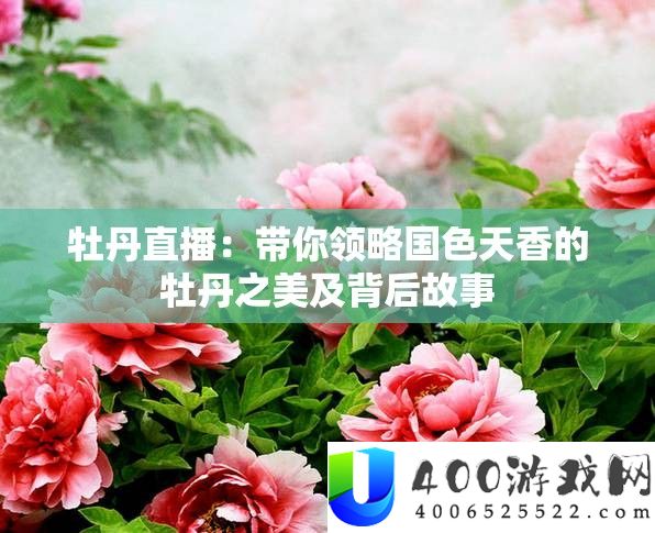 牡丹直播：带你领略国色天香的牡丹之美及背后故事