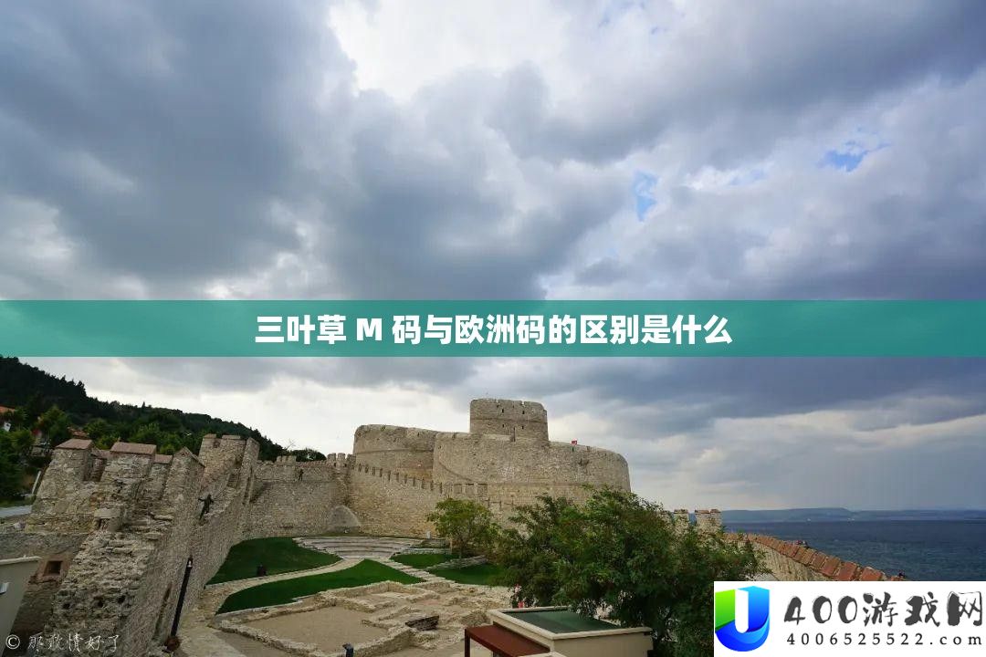 三叶草 M 码与欧洲码的区别是什么