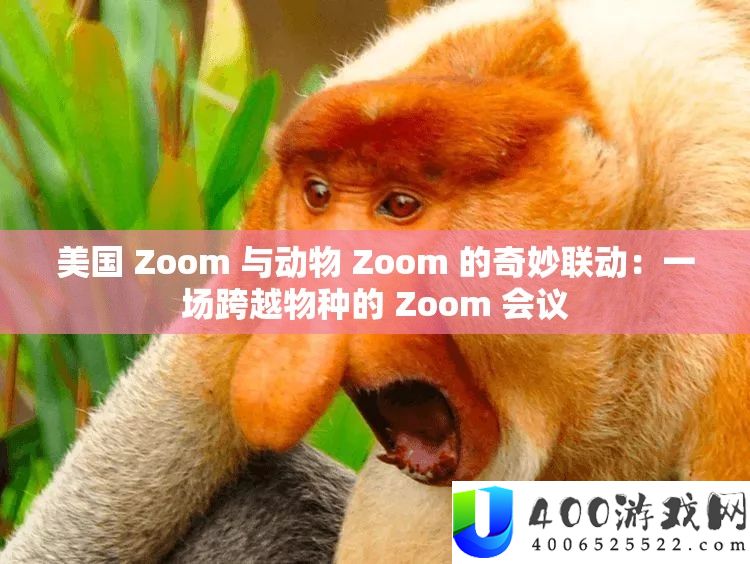 美国 Zoom 与生物 Zoom 的巧妙联动：一场逾越物种的 Zoom 会议