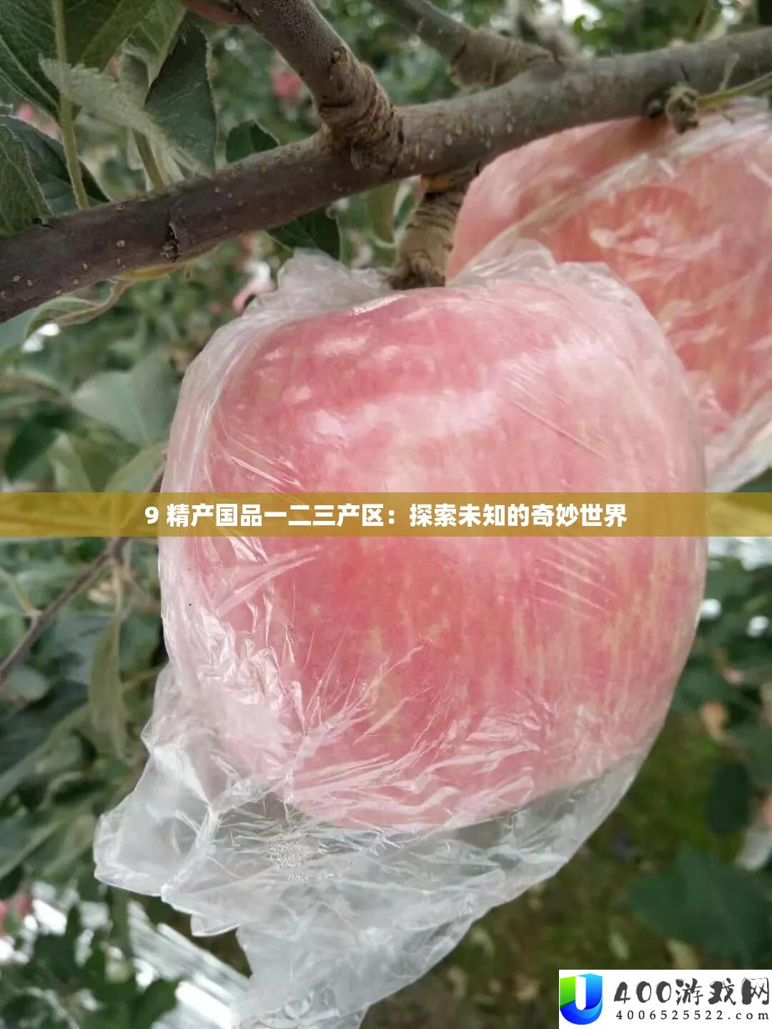 9 精产国品一二三产区：探索未知的奇妙世界