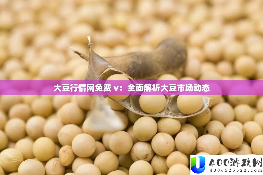大豆行情网免费 v：全面解析大豆市场动态