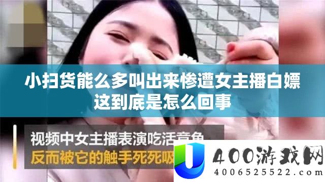 小扫货能么多叫出来惨遭女主播白嫖这究竟是怎样回事