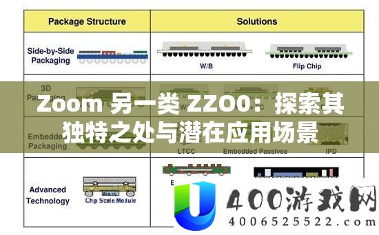 Zoom 另一类 ZZO0：索求其怪异之处与潜伏应用处景