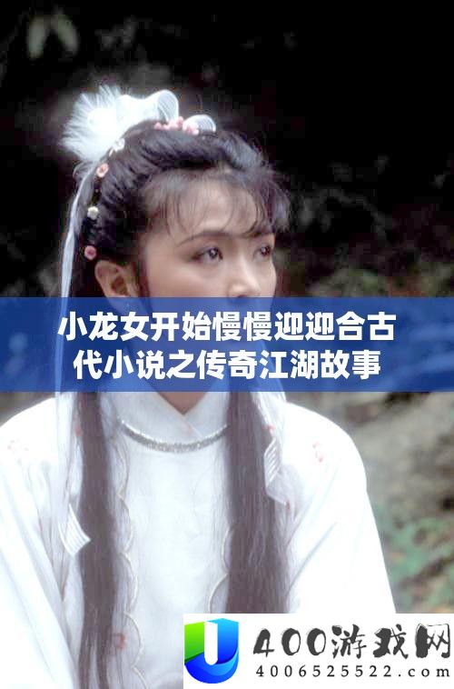 小龙女开始慢慢迎迎合古代小说之传奇江湖故事