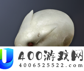 蒸面兔道具用途介绍