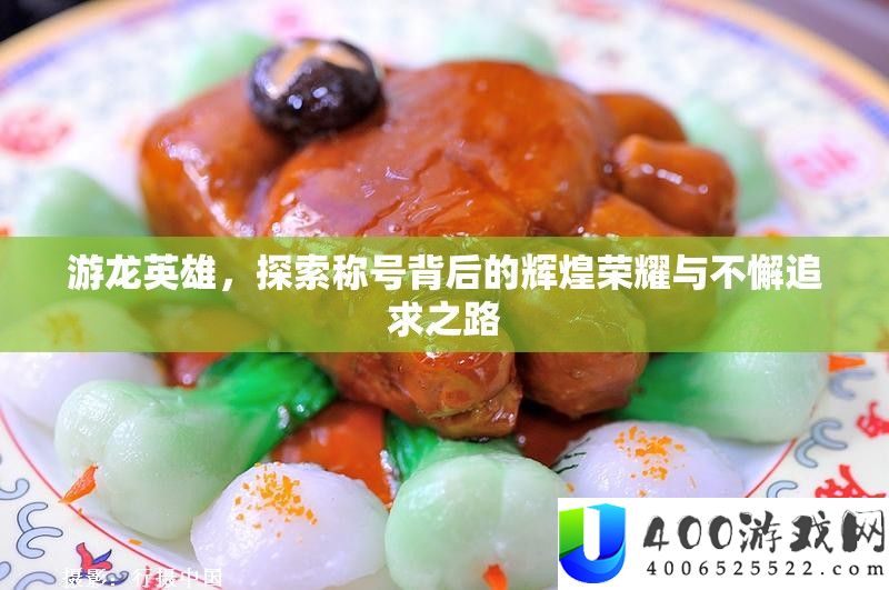 游龙英雄，索求称呼背地的辉煌光荣与不懈寻求之路