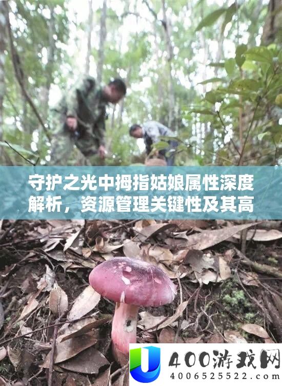 守护之光中拇指姑娘属性深度分析,资本经管关头性及其高效技巧应用