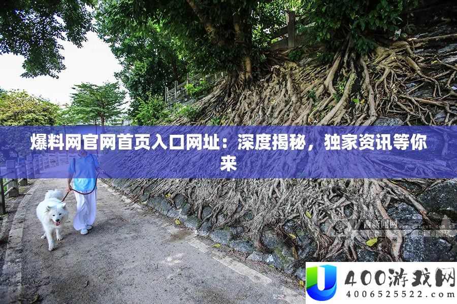 爆料网官网首页进口网址：深度揭秘，独家资讯等你来