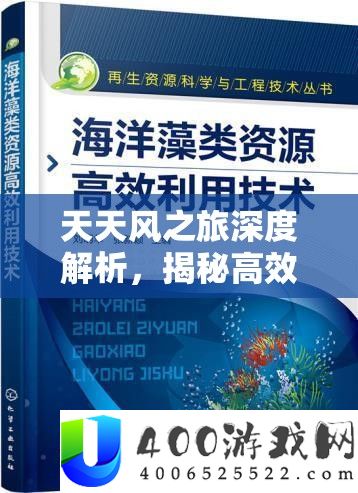 每天风之旅深度分析，揭秘高效抽取星华字典的独家秘笈与技能