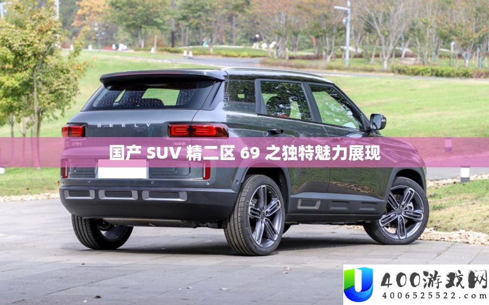 国产 SUV 精二区 69 之独特魅力展现