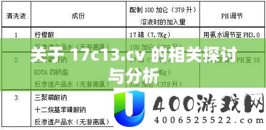 关于 17c13.cv 的相关探讨与分析