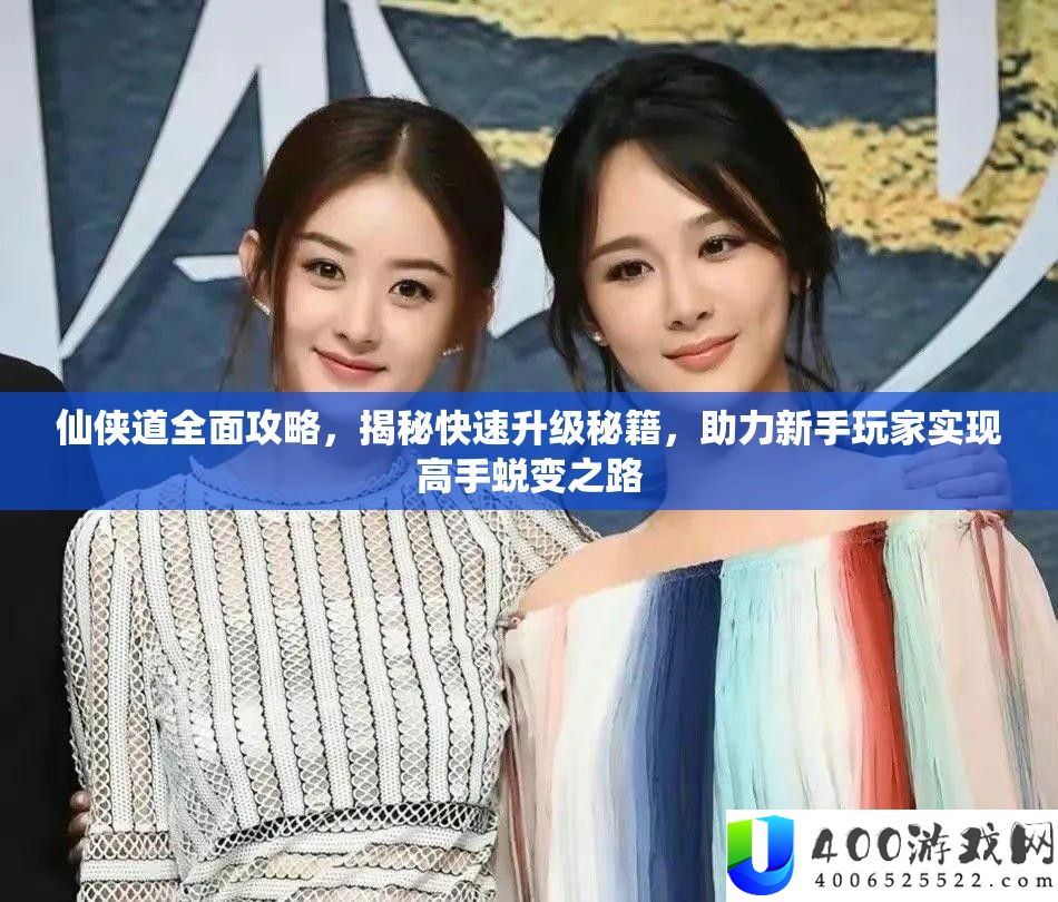 仙侠道周全攻略,揭秘疾速晋级秘笈,助力新手玩家完成高手演变之路