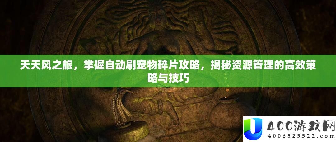 每天风之旅,把握主动刷宠物碎片攻略,揭秘资本经管的高效技巧与技能