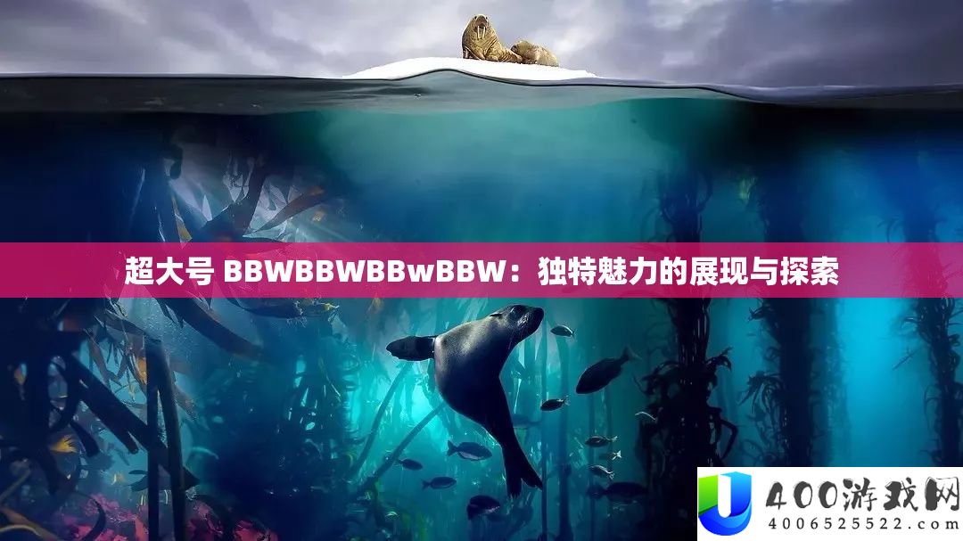 超大号 BBWBBWBBwBBW：独特魅力的展现与探索