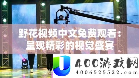 野花视频中文免费观看：呈现精彩的视觉盛宴