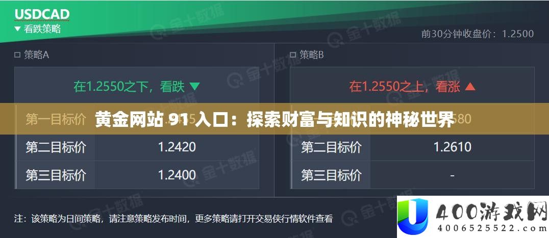 黄金网站 91 进口：索求财产与知识的奥秘世界