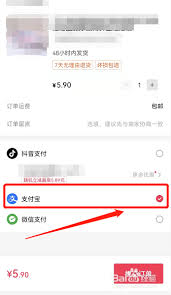 抖音代付能否保险-抖音代付安不保险