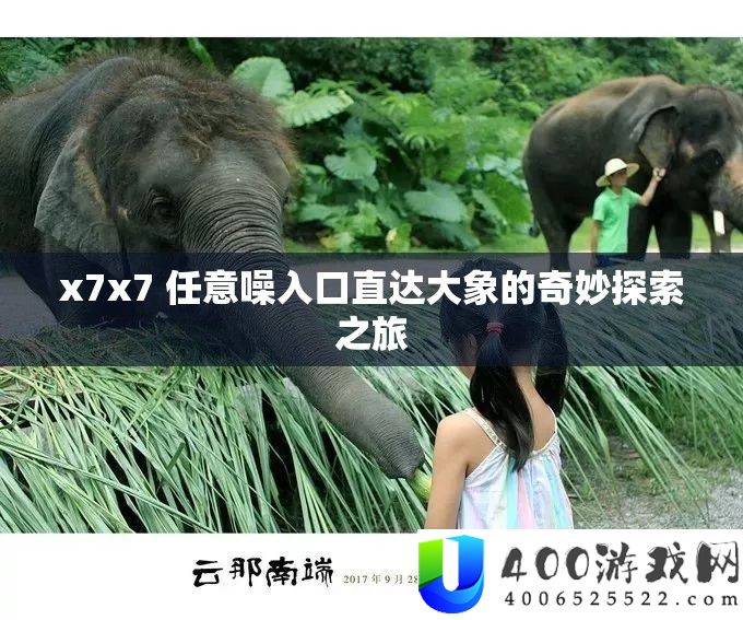 x7x7 肆意噪进口直达大象的巧妙索求之旅