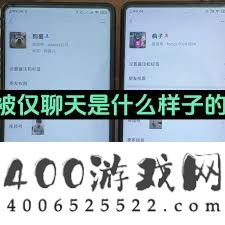 微信仅聊天时朋友圈呈现何种状态