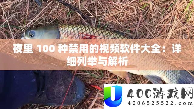 夜里 100 种禁用的视频软件大全：具体罗列与分析
