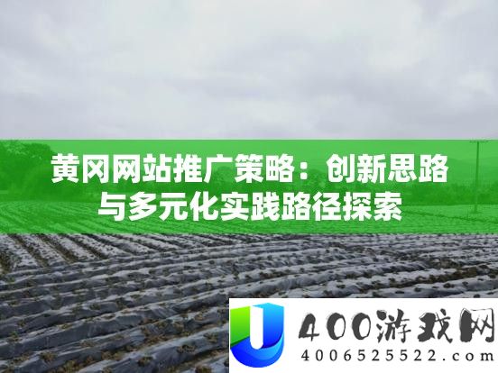 黄冈网站推行技巧：创新思绪与多元化理论途径索求