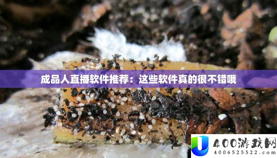 成品人直播软件推荐：这些软件真的很不错哦