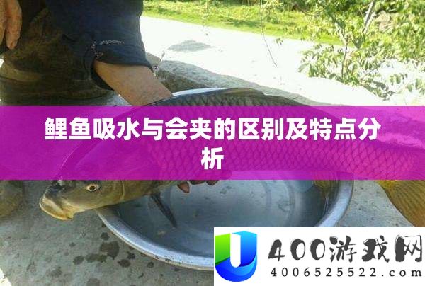 鲤鱼吸水与会夹的区别及特点分析