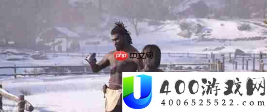 刺客信条影双主角无法同时上场